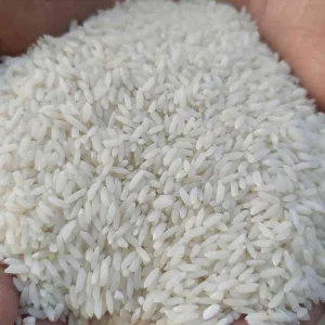 প্রিমিয়াম আতপ চাল (Premium Atap Rice)