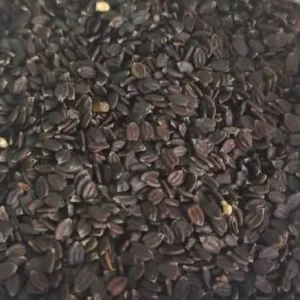 প্রিমিয়াম সাবজা দানা / তোকমা (Premium Basil Seeds / Sabja)